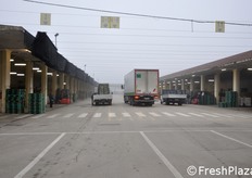 Nel mese di dicembre 2011, FreshPlaza si e' recata a Lusia, in provincia di Rovigo, dove ha realizzato questo reportage fotografico sul locale mercato ortofrutticolo.