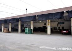 Sin dal 1955, il Mercato di Lusia rappresenta un modello per la qualita' delle merci trattate e per le continue evoluzioni nella lavorazione e presentazione dei prodotti, che lo hanno adeguato alle esigenze degli operatori commerciali.