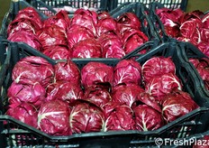 L'offerta ortofrutticola presso il Mercato di Lusia copre quasi tutto l'anno. Oltre all'Insalata di Lusia IGP, il territorio vanta anche altri prodotti a denominazione: il Radicchio di Chioggia IGP, l'Aglio Bianco Polesano DOP e il Riso del Delta del Po IGP.