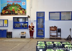 L'area della ditta concessionaria Ruin Luciano.