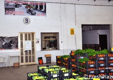 "Una delle ditte concessionarie "storiche" del Mercato di Lusia."