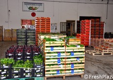 Presso la Cooperativa ortolani di Lusia (posteggio 7) e' possibile anche per il pubblico delle famiglie effettuare acquisti ortofrutticoli ogni sabato pomeriggio. Per questo, l'assortimento presso questo stand include piu' articoli, sia regionali sia extra-regionali.