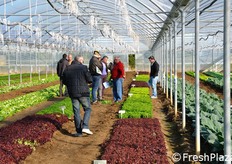 Vista d'insieme della sezione dedicata alle Eazyleaf.