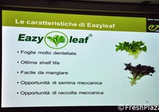 La presentazione della linea Eazyleaf.
