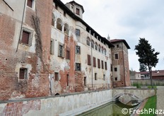 Castelli Tapparelli D'Azeglio di Lagnasco.