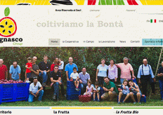 Il website www.lagnascogroup.it si rivolge sia al consumatore sia al trader interessato ai prodotti aziendali. E' articolato in varie sezioni tematiche.