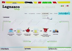 Sezione che illustra i processi aziendali.