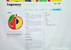 Ogni singolo prodotto presenta una scheda descrittiva, con informazioni utili tanto al consumatore, quanto all'operatore professionale.