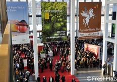 Vista dall'alto della folla in accesso presso l'ingresso sud.