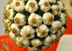 Una bella composizione di bulbi d'aglio in forma di alberello.