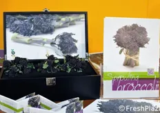 "Il broccolo viola "Santee", ricco di antiossidanti. E' stato tra i candidati al premio per l'innovazione FLIA 2012."