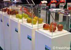 "La linea di mele "Sweet Resistant", presentata dal CIV anche nell'edizione 2011 di Fruit Logistica."