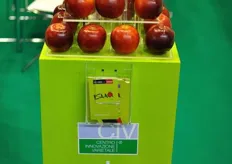 La nuova selezione di mela ISAAQ, nata da una collaborazione tra CIV e KIKU e dedicata al grande scienziato Isaac Newton.