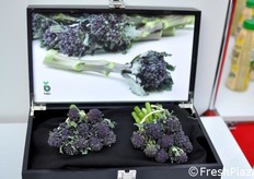 Broccoli viola della Bejo Zaden (Paesi Bassi).