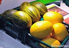 I meloni Ricura RZ e Tikal RZ.