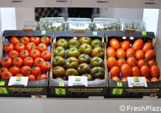 Tra le selezioni varietali della Yuksel Seeds anche il pomodoro bruno Sacher F1 (al centro nella foto).