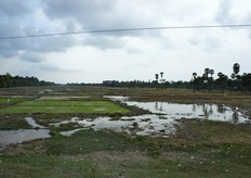 Il nostro lettore Franco Mazzarello ci ha inviato alcune foto scattate in Vietnam e in Cambogia, che offrono uno sguardo su quella lontana realta'.