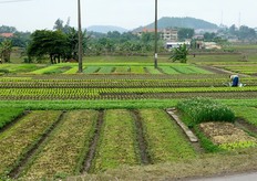 Gli investimenti saranno rivolti infatti al settore agricolo e non a quello dell'industria pesante.