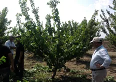 Mariano Gervasi (nella foto a destra) agronomo libero professionista e referente tecnico di Escande per la Sicilia.