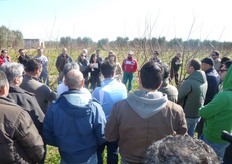 Nel corso della giornata studio sull'albicocco, del 2 marzo 2012, organizzata da Consorzio Vivaisti Lucani, gruppo vivai Escande-Bee e Koppert Biological System, si e' discusso delle tecniche di impollinazione sulle varieta' autosterili, dell'utilizzo di insetti pronubi e degli interventi di potatura di fine inverno.