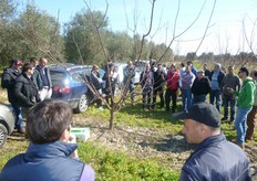 Numerosi i partecipanti.