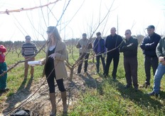Edwige Remy, tecnico vivai Escande, descrive le principali caratteristiche delle varieta' di albicocco del gruppo BEE.