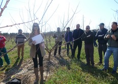 "!Tsunami®!, Spring Blush®, Pinkcot®, Big Red®, afferma Edwige, hanno bisogno dell'impollinatore. "Kioto*cov" e' l'unica varieta' autofertile."