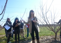 Come si deduce dalla tabella di compatibilita', precisa Edwige, tutte le varieta' del gruppo BEE autosterili sono compatibili tra loro.