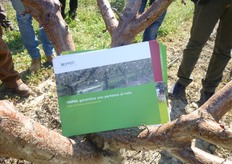 La Koppert Biological System e' un'azienda olandese leader nella produzione di insetti impiegati in agricoltura per la lotta biologica e per l'impollinazione.