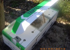 "Il contenitore "TRIPOL" e' stato progettato dalla KOPPERT appositamente per i frutteti ed e' composto da tre grandi colonie di Bombus terrestris."