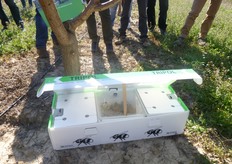 "Per ogni "TRIPOL" il numero di bombi operaie varia da 350-400."