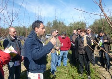 Il range ottimale di temperatura esterna per un buon rendimento di lavoro dei bombi e' compreso tra 15 e 25°C. I bombi sono efficienti anche in giorni nuvolosi, le api sono meno attive ad intensita' luminose piu' basse.