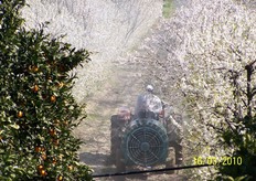 I fitofarmaci possono causare intossicazioni ai bombi sia direttamente, per contatto, sia indirettamente nel momento in cui gli insetti pronubi bottinano fiori di piante trattate con insetticidi sistemici. Per conoscere quali sono i principi attivi dannosi e i giorni di carenza, dal trattamento all'introduzione delle arnie nel frutteto, si puo' consultare il sito www.koppert.com (alla pagina www.koppert.mobi/en/side_effects/).