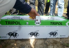 Si potra' procedere alla riapertura dell'arnia (entrambi i fori, di ingresso e di uscita, aperti come in foto) solo dopo che sia trascorso il periodo di carenza indicato, alla pagina www.koppert.mobi/en/side_effects/, per il fitofarmaco somministrato. Qualora l'alveare venisse rimosso dal frutteto per alcuni giorni, potrebbe essere conservato in un luogo asciutto e fresco (18-20°C).