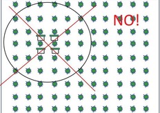 Non e' consigliabile raggruppare le arnie in un solo posto nel frutteto, si rischierebbe di avere piante non visitate dai bombi.