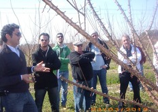 "Sulle cultivar di albicocco poco vigorose, come la "KIOTO*cov", e' consigliabile eseguire prevalentemente interventi di potatura in pieno riposo vegetativo, febbraio-marzo, afferma Vito Vitelli (in foto) del Consorzio Vivaisti Lucani."