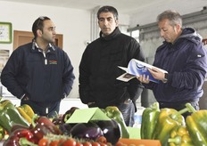 "L'Open Day si e' tenuto presso il magazzino "Costantia", a Santa Croce Camerina (RG), in un areale molto dedito alla coltivazione del peperone."