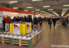 Folta la partecipazione di pubblico, che ha toccato le 10.000 presenze nella prima edizione.