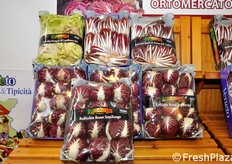 Esposizione di varie tipologie di radicchio.