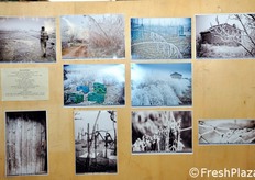 Mostra fotografica sulle stagioni della campagna.