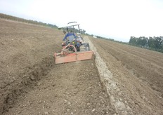 Segue una fresatura per affinare il terreno.