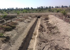 "Per favorire un regolare deflusso dell'acqua e' consigliabile dotare ogni "inter-baula" di un solco e di un tunnel di scolo terminale."