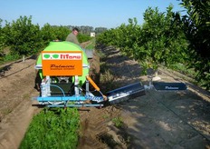 "Sulla "baula" il controllo delle malerbe viene praticato attraverso la somministrazione di miscele di erbicidi ad azione fogliare (disseccanti o sistemici) e residuale (antigerminello o radicali-sistemici)."