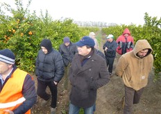 "Momenti delle visite guidate presso l'impianto di "Mandalate" dell'Az. Agr. "S. Fara" Riccardi di Metaponto (MT)."