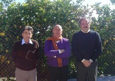 "Da sinistra Giuseppe Reforgiato Recupero, Santo Recupero e Giuseppe Russo, breeders del CRA-ACM di Acireale (CT). Oltre al "Mandalate", i ricercatori dell'Istituto Sperimentale siciliano, hanno costituito e brevettato i mandarini "Mandared" e "Alkantara", il limone "Lemox", altri ibridi e agrumi ornamentali in corso di valutazione e brevettazione."