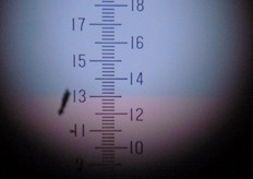 "In prossimita' della raccolta il succo del "Mandalate" raggiunge un Indice Rifrattometrico (IR) di circa 13 gradi Brix (oBrix)."