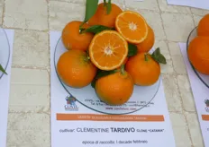 "Il frutto del Clementine "Tardivo" e' di buona pezzatura, apireno e di forma sub-sferica, leggermente schiacciata ai poli. Il peduncolo e' piuttosto robusto, la buccia e' a grana fine e di colore arancio intenso."