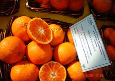 "Il mandarino ibrido triploide "Mandared", risultato dall’incrocio del clementine di "Nules" (2x) x arancio Tarocco (4x), e' stato selezionato e brevettato dai ricercatori del CRA-ACM di Acireale (CT) Giuseppe Reforgiato Recupero, Giuseppe Russo e Santo Recupero."