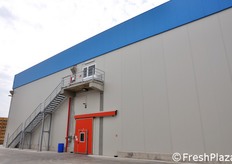 Negli ultimi anni, per rispondere a produzioni frutticole sempre piu' abbondanti, il Gruppo Mazzoni ha effettuato ingenti investimenti in nuove strutture frigorifere di ultimissima generazione, aumentando in modo significativo le capacita' di stoccaggio.