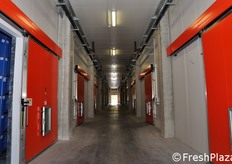 Il nuovo complesso di celle ad atmosfera dinamica.